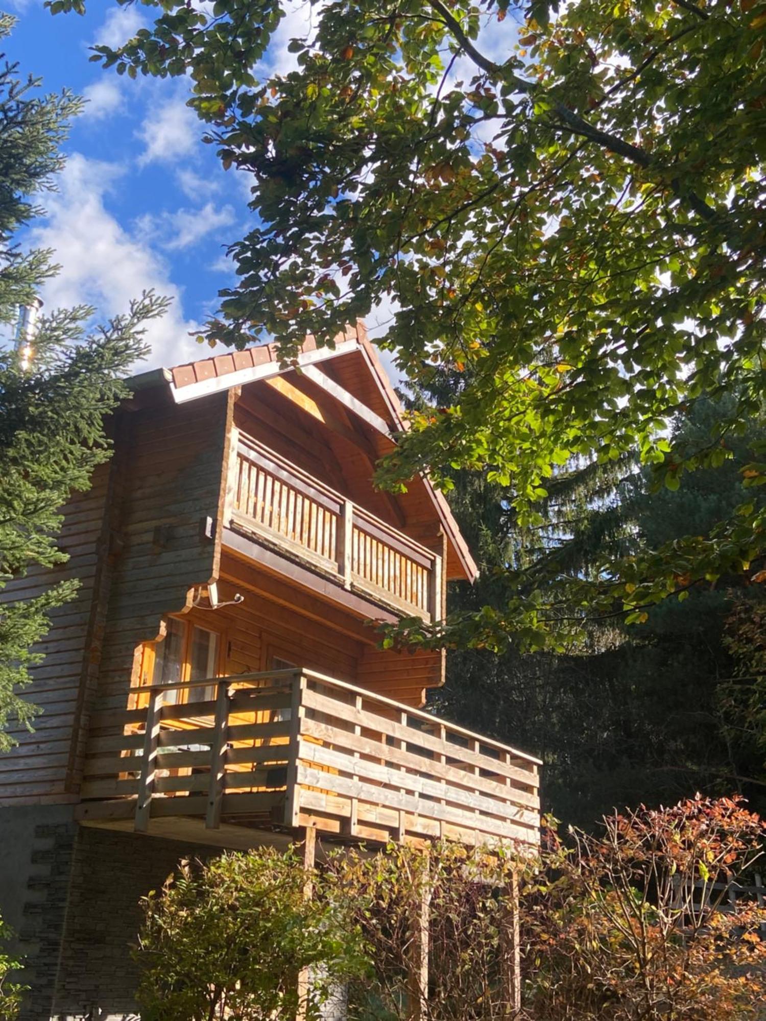 Chalet Authentique Au Calme, En Lisiere De Foret, Montagne, Sentiers 15Mn Gerardmer & Alsace "Chalet Mon Beau Sapin" Anould Exterior foto