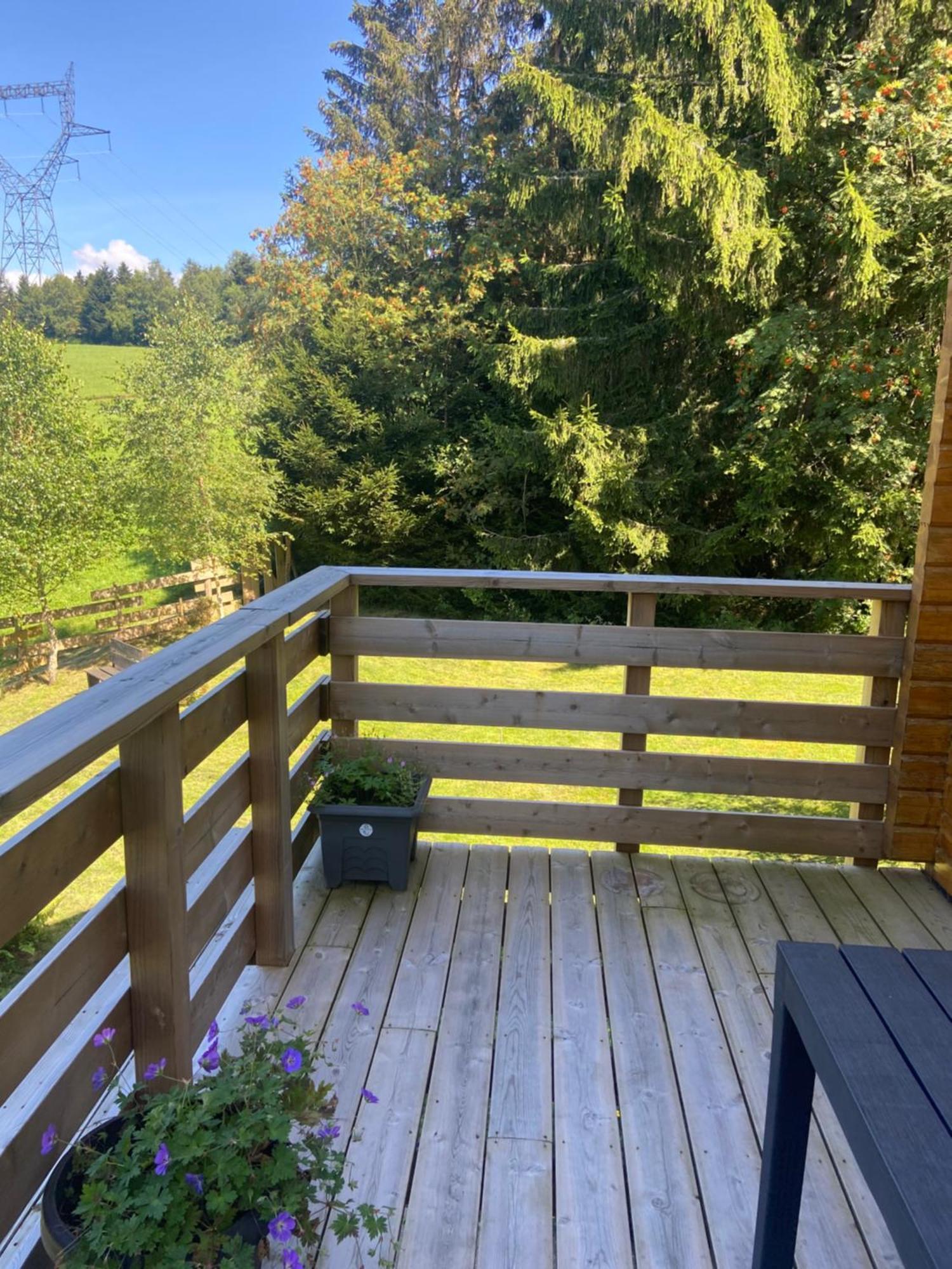 Chalet Authentique Au Calme, En Lisiere De Foret, Montagne, Sentiers 15Mn Gerardmer & Alsace "Chalet Mon Beau Sapin" Anould Exterior foto