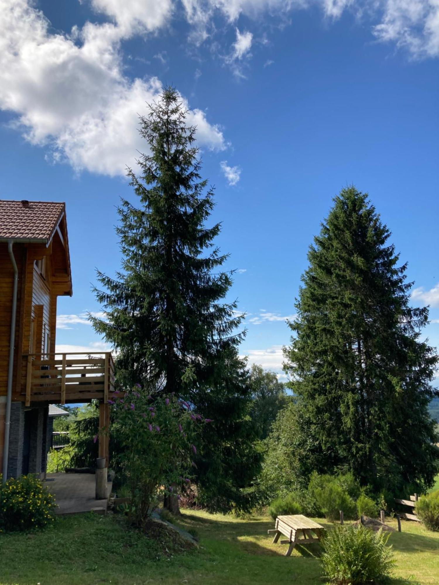 Chalet Authentique Au Calme, En Lisiere De Foret, Montagne, Sentiers 15Mn Gerardmer & Alsace "Chalet Mon Beau Sapin" Anould Exterior foto