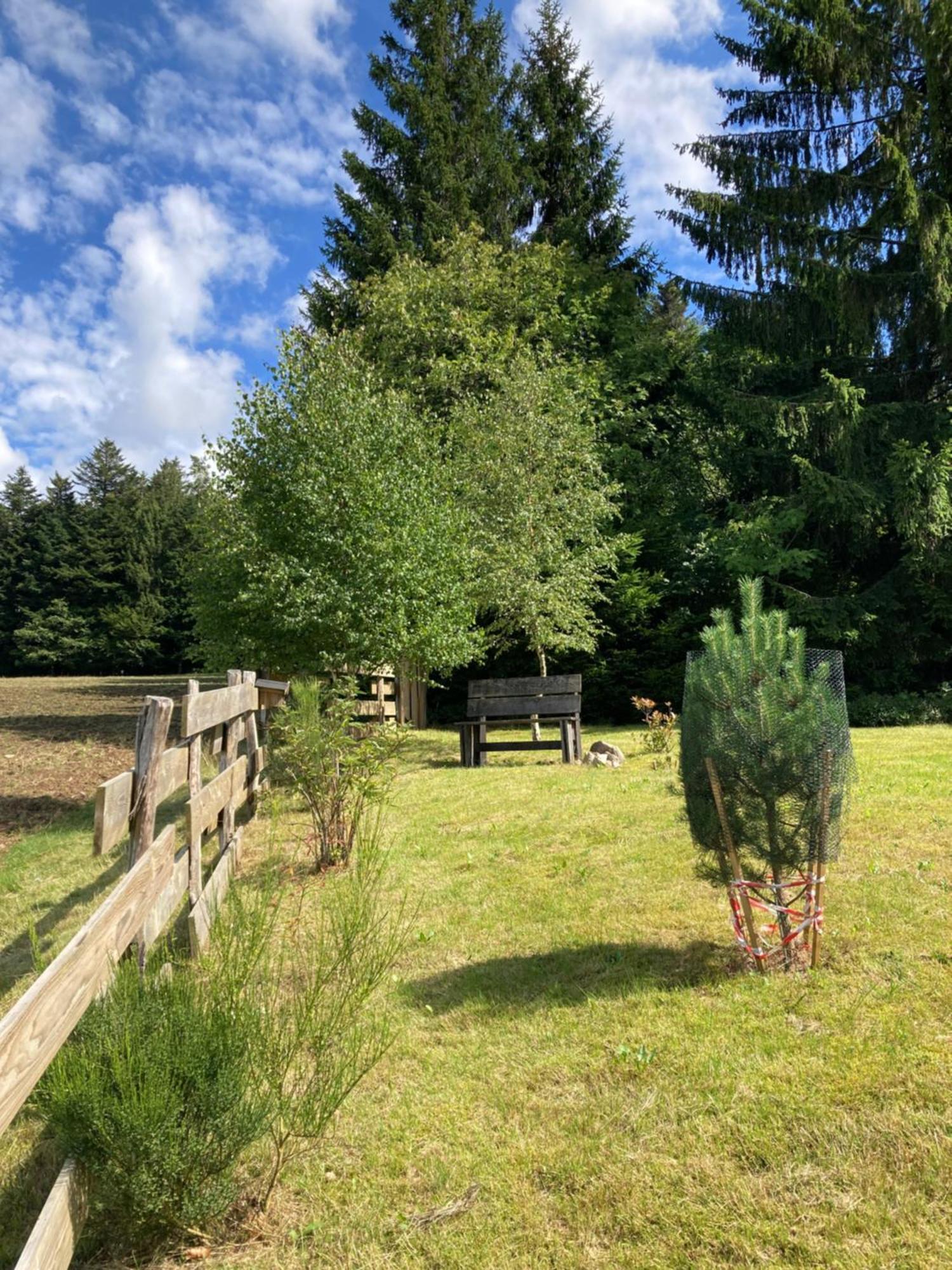 Chalet Authentique Au Calme, En Lisiere De Foret, Montagne, Sentiers 15Mn Gerardmer & Alsace "Chalet Mon Beau Sapin" Anould Exterior foto