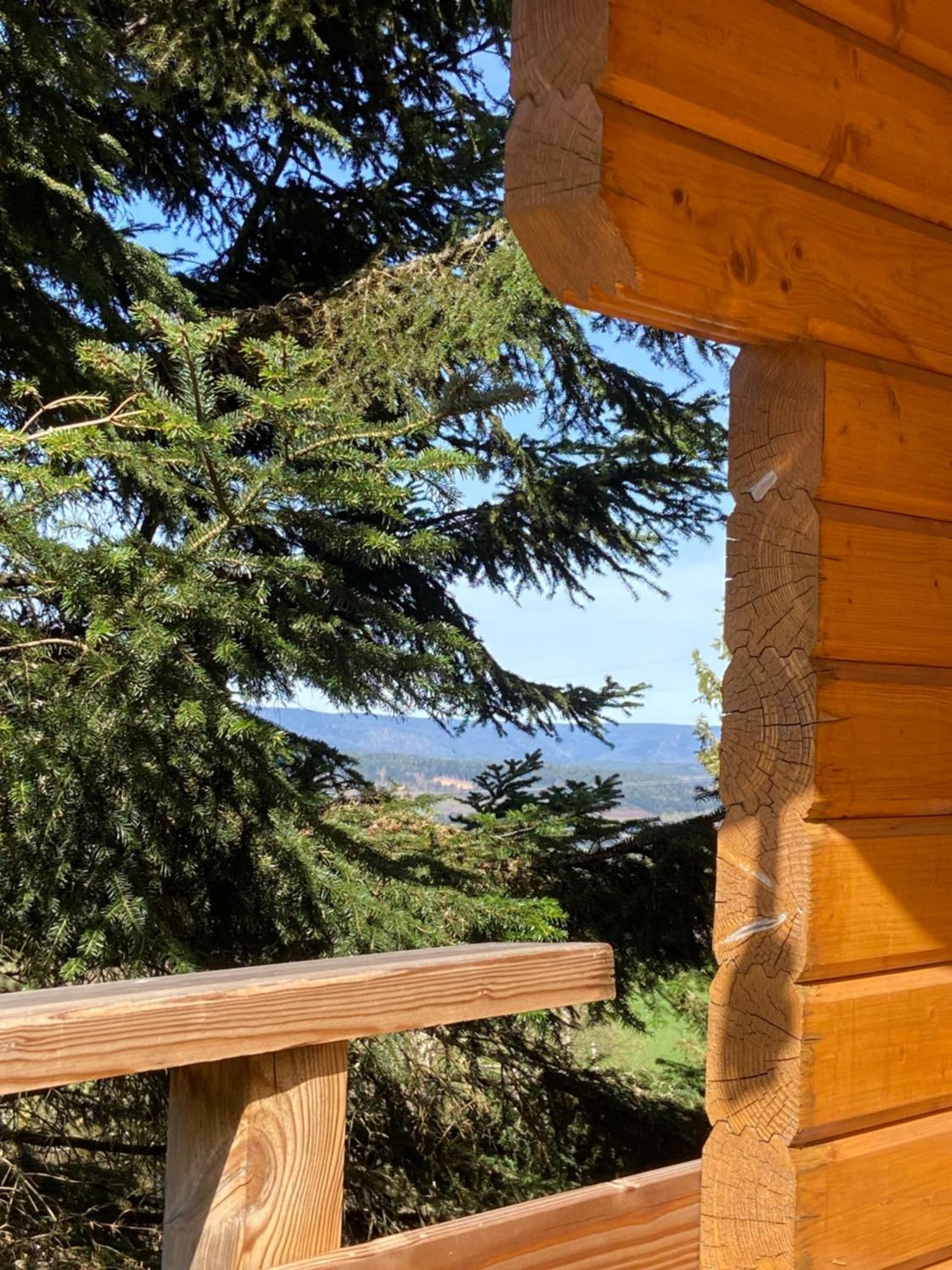 Chalet Authentique Au Calme, En Lisiere De Foret, Montagne, Sentiers 15Mn Gerardmer & Alsace "Chalet Mon Beau Sapin" Anould Exterior foto