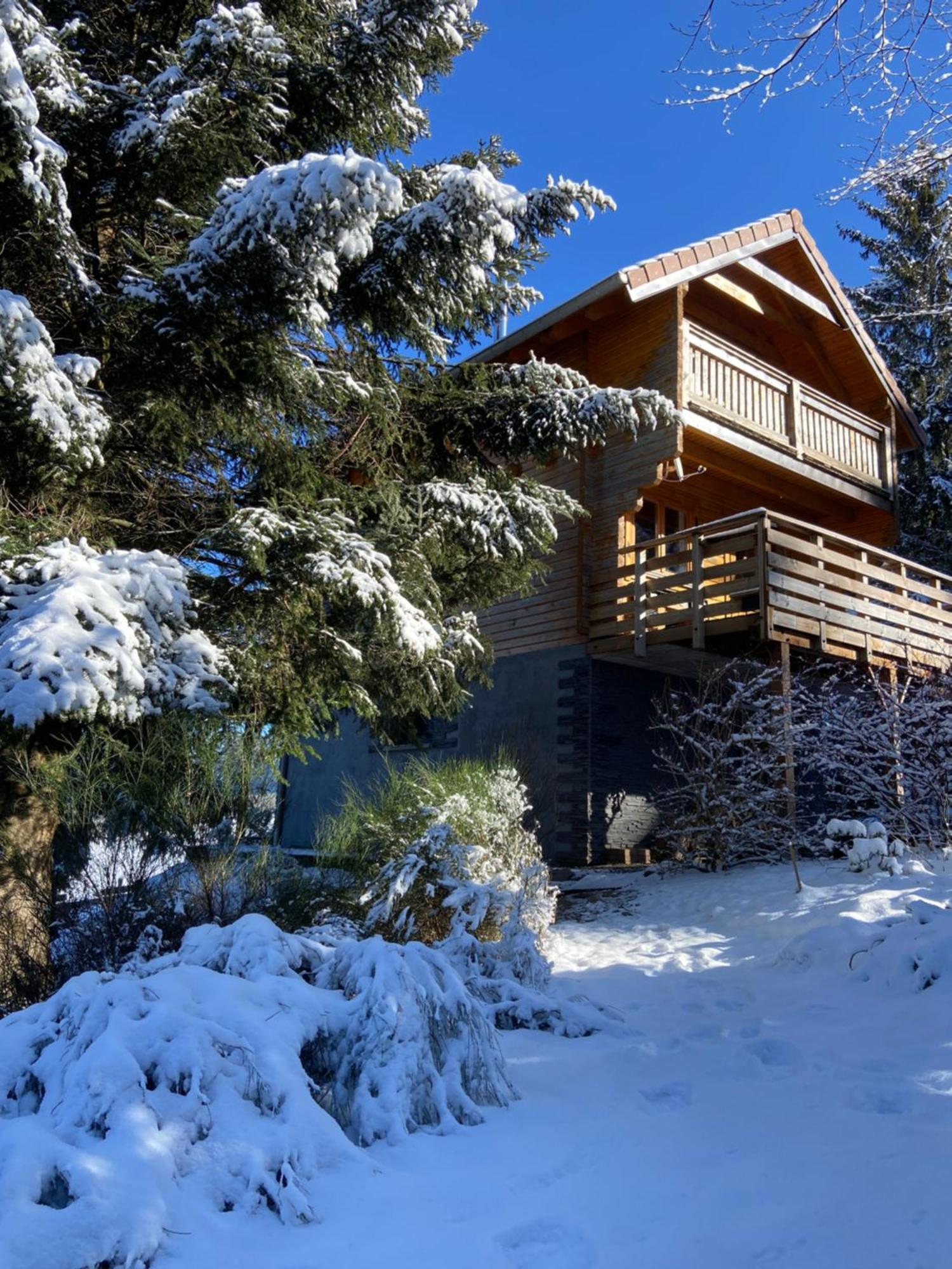 Chalet Authentique Au Calme, En Lisiere De Foret, Montagne, Sentiers 15Mn Gerardmer & Alsace "Chalet Mon Beau Sapin" Anould Exterior foto