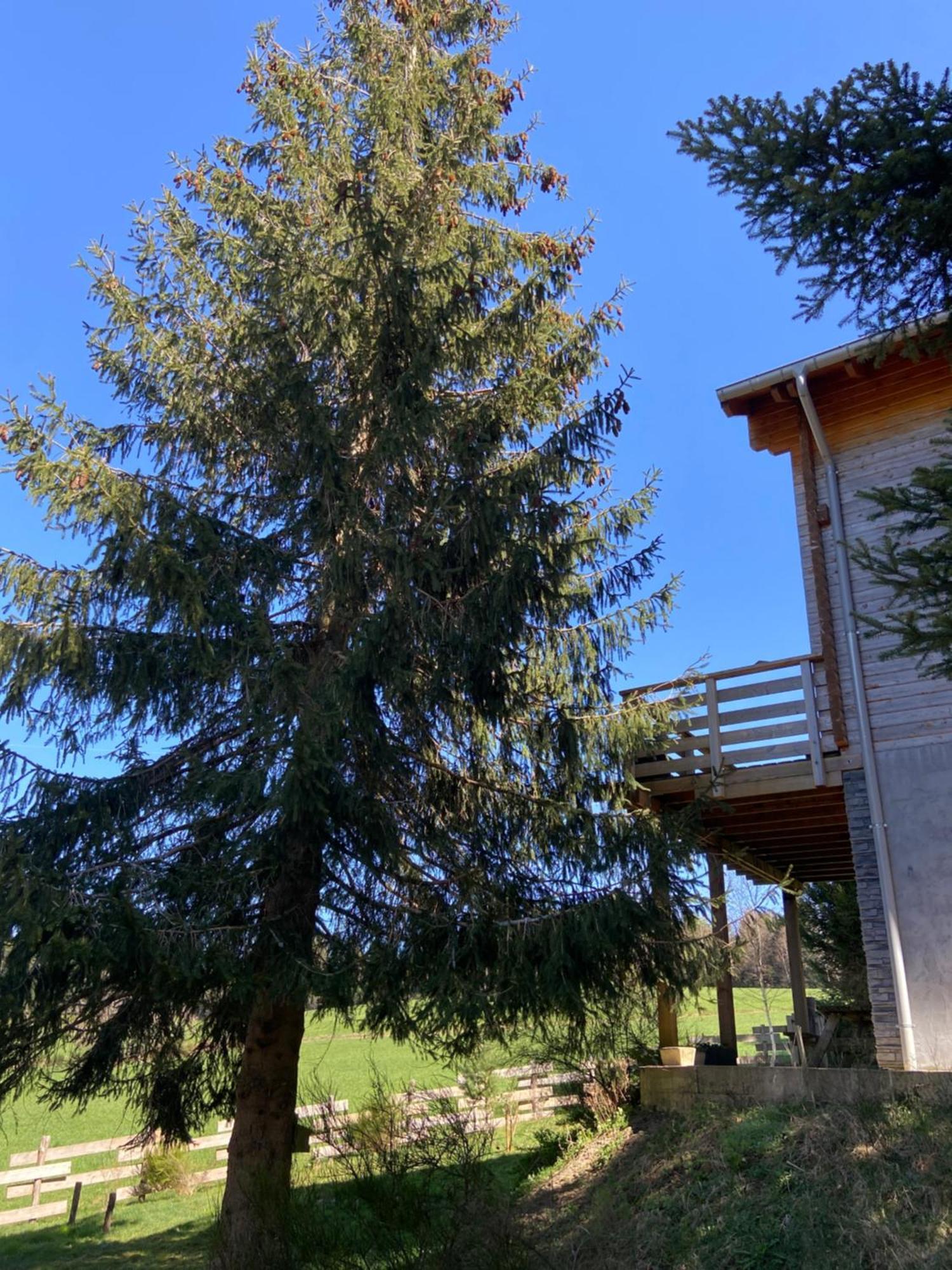 Chalet Authentique Au Calme, En Lisiere De Foret, Montagne, Sentiers 15Mn Gerardmer & Alsace "Chalet Mon Beau Sapin" Anould Exterior foto